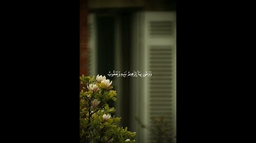 قال أسلمت لرب العالمين | القارئ أويس عبد الفتاح