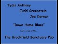 Tydis Anthony - Down Home Blues