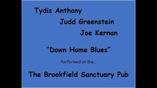 Tydis Anthony - Down Home Blues