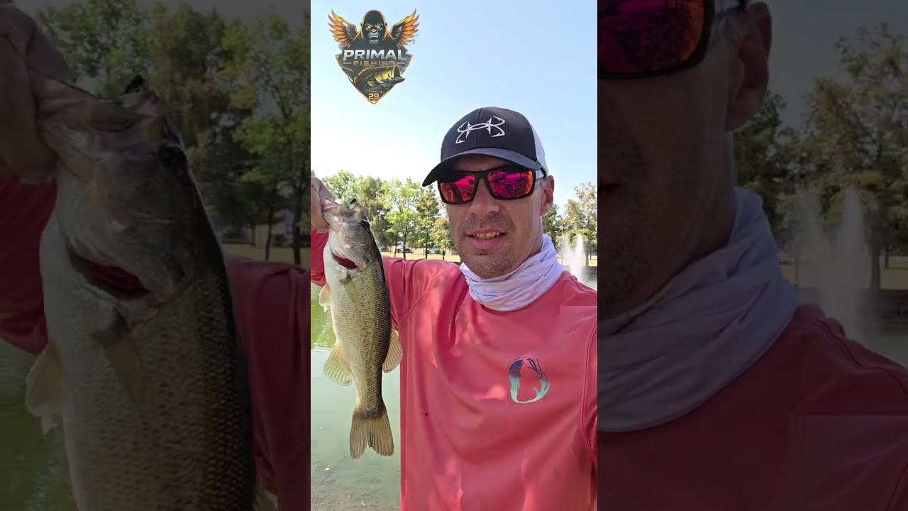 Small Ponds, BIG Surprise | Texas Bass Fishing