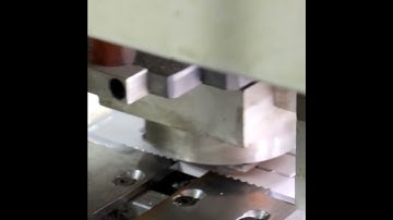 Combination for Acetate Frame with Nose Pad