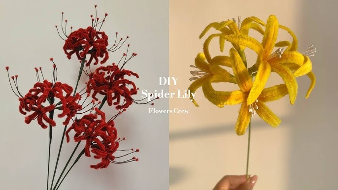 DIY Pipe Cleaners Kit - Carnation