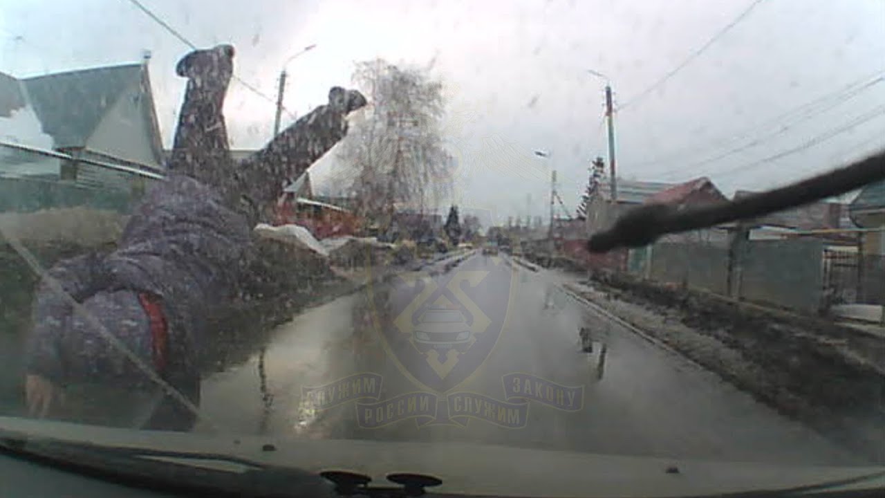 Водитель автобуса малышев стремясь избежать наезда на пешехода лосева