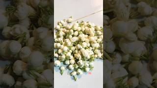 మల్లె పువ్వులు పెట్టుకుంటే ఎంత మంచిదో చూద్దాం#ytshorts #shorts #youtubeshorts#trending