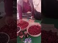 البن اليمني قهوة الشاذلي Coffee Mokha من الموتمرالاول للفرص الاقتصادية والزراعيةوالسمكية محافظة تعز البن اليمني قهوة الشاذلي Coffee Mokha من الموتمرالاول للفرص الاقتصادية والزراعيةوالسمكية محافظة تعز