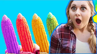 Growing Corn (Like Mary had a little Lamb)  | Songs about vegetables and food