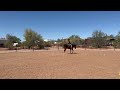 SSC Summer Series #1 June 2026: Class 28 Western Horsemanship W/J Open: Lazy Butt Perfect