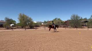 SSC Summer Series #1 June 2026: Class 28 Western Horsemanship W/J Open: Lazy Butt Perfect