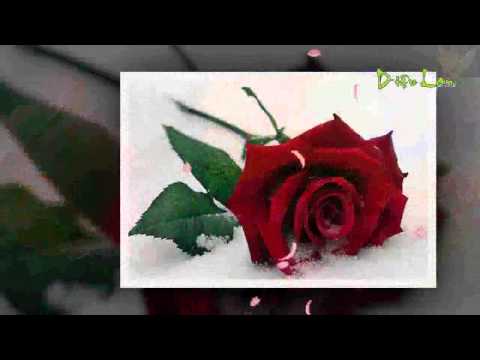 Video Kiếp Cầm Ca (Lyrics) Sáng Tác - Huỳnh Anh - youtube