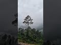 #rain#in#may#2023#like #green #subscribe #shortsfeed