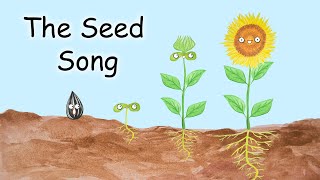 The Seed Song  What Do Seeds Need?