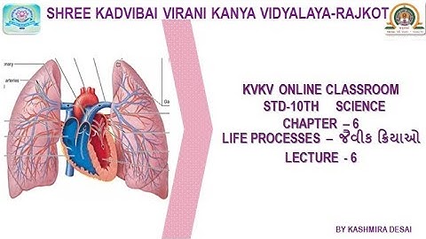 Std-10th/Science/Chapter-6 ✳️જૈવિક ક્રિયાઓ ✳️ Lecture-6