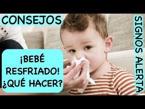 Lidl presenta su nueva colección de ropa ecológica para bebés, de algodón  100% orgánico y por menos de 10 euros