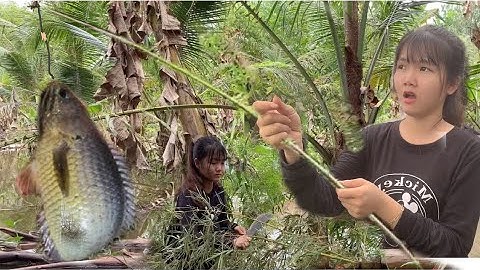 Chặt Trúc Làm Cần Câu Đi Câu Cá Rô Dính Quá Trời | go fishing perch | #ynhotv#fishing #mientay