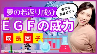 細胞を若返らせる成分『EGF』を超簡単に解析！【ヒト遺伝子組換オリゴペプチド-】