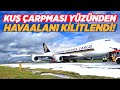 KUŞ ÇARPMASI YÜZÜNDEN HAVAALANINI KİLİTLEMEYE DEĞER MİYDİ? | Kaptan Baha