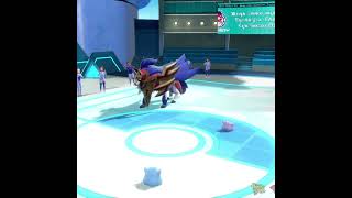 Ditto transforms into... Ditto #playpokemon #pokemon #VGC