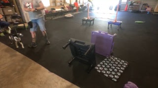 Backing up with Rear Foot Targeting with Marty