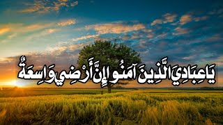 Ya Ibadiyal lazina Amanu Innardi Vasiatun Faiyyay Faabudun | Al Ankabut Ayat 56-69 | سورة العنكبوت