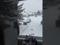 Snowy again