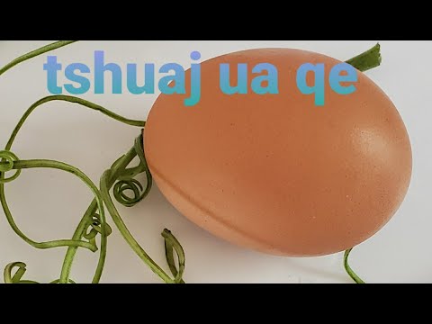 Video: Yuav Kom Tus Me Nyuam Haus Tshuaj