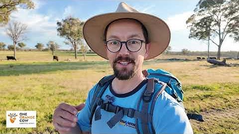 AI Search Trust Signal #1 — Consistency Across All Profiles