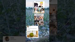 Finaliza Naruto Shippuden