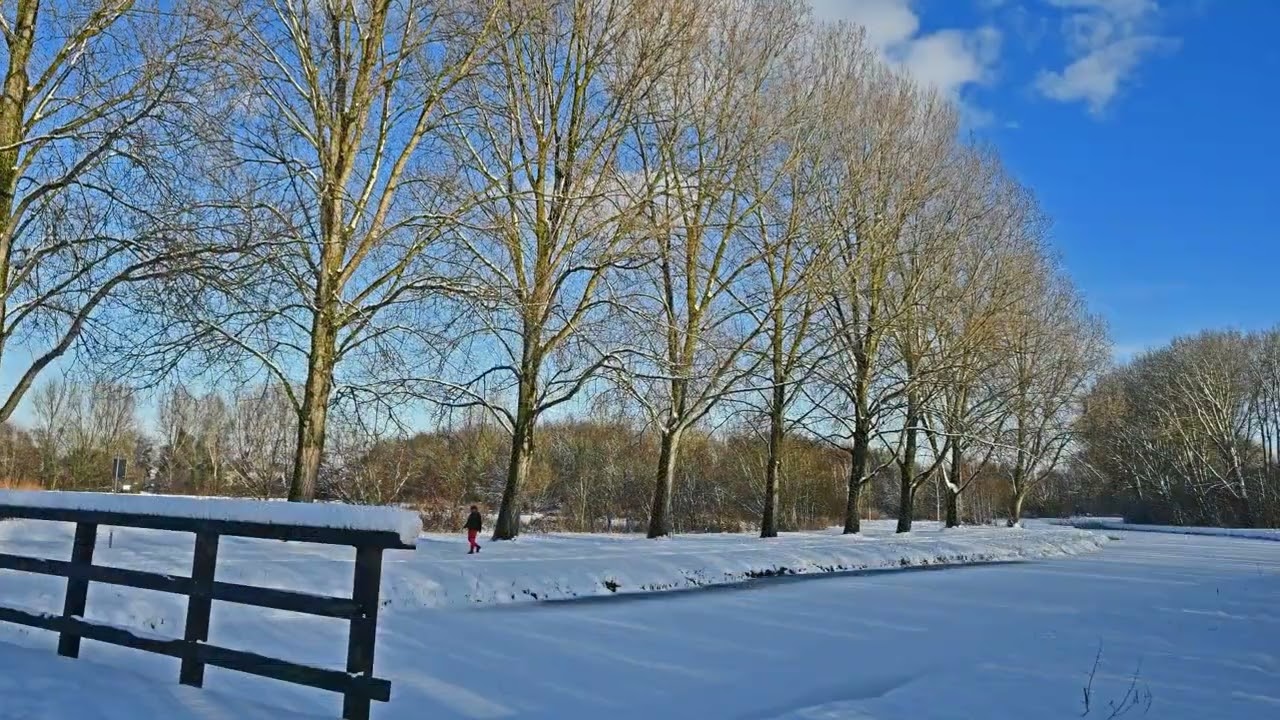 Winter in het Oosterpark Ridderkerk 2026