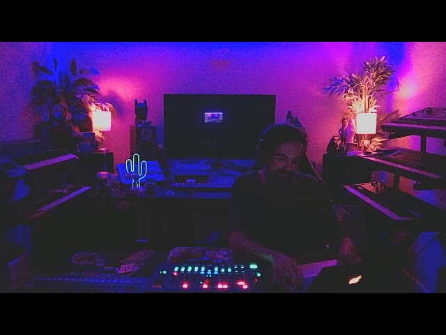 At Home with Henry 23  "Minimal Trip"