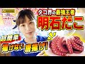 【王者 明石だこ】豊かな漁場が生んだ日本一のタコ、実は足が〇〇！？超簡単で極ウマ、揚げない唐揚げで頂きまる！⭕️【魚屋の森さん PRIDE FISH】