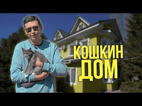 Кошкин дом. Обзор гостиницы для животных в Алматы