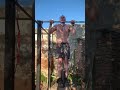80kg en dominadas y 137 en fondos