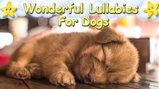 Super Relaxing Music For Dogs And Puppies ♫ Relax Your Dog Effectively screenshot 1