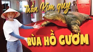 Cụ rùa trong truyền thuyết trao gươm cho Lê Lợi tại Hồ Gươm, rùa Hồ Hoàn Kiếm