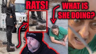 What is Happening in These Videos!? #5