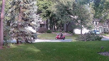 Reolink Captures: Close Call