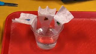 35. Chromatography / Cromatografía