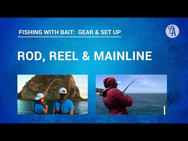 Spinning Rod Vs Baitcasting Setup (Fishing Rod Basics) 