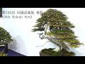 [4K] 第100回 日本盆栽国風展 後期 全出品樹