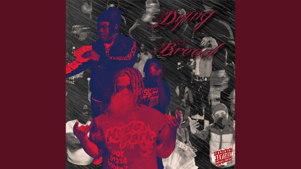 Guarda Hit (feat. bbykrook) su YouTube Guarda Hit (feat. bbykrook) su YouTube