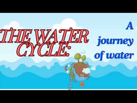 How the Water