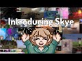 Introducing Skye