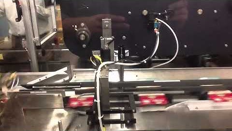 Econocorp Pegasus Continuous Motion Cartoner with Bucket Conveyor & Overhead confinement device