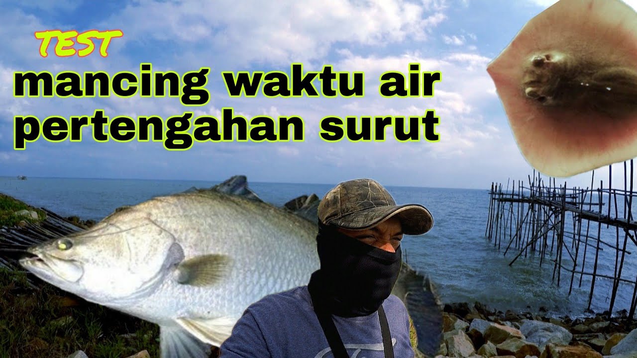 test mancing waktu air sedan surut,pantai sungai lurus senggarang