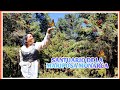 REGRESAMOS A PUEBLEAR🤩🤠🌳SANTUARIO DE LA MARIPOSA MONARCA🥰🐛🦋