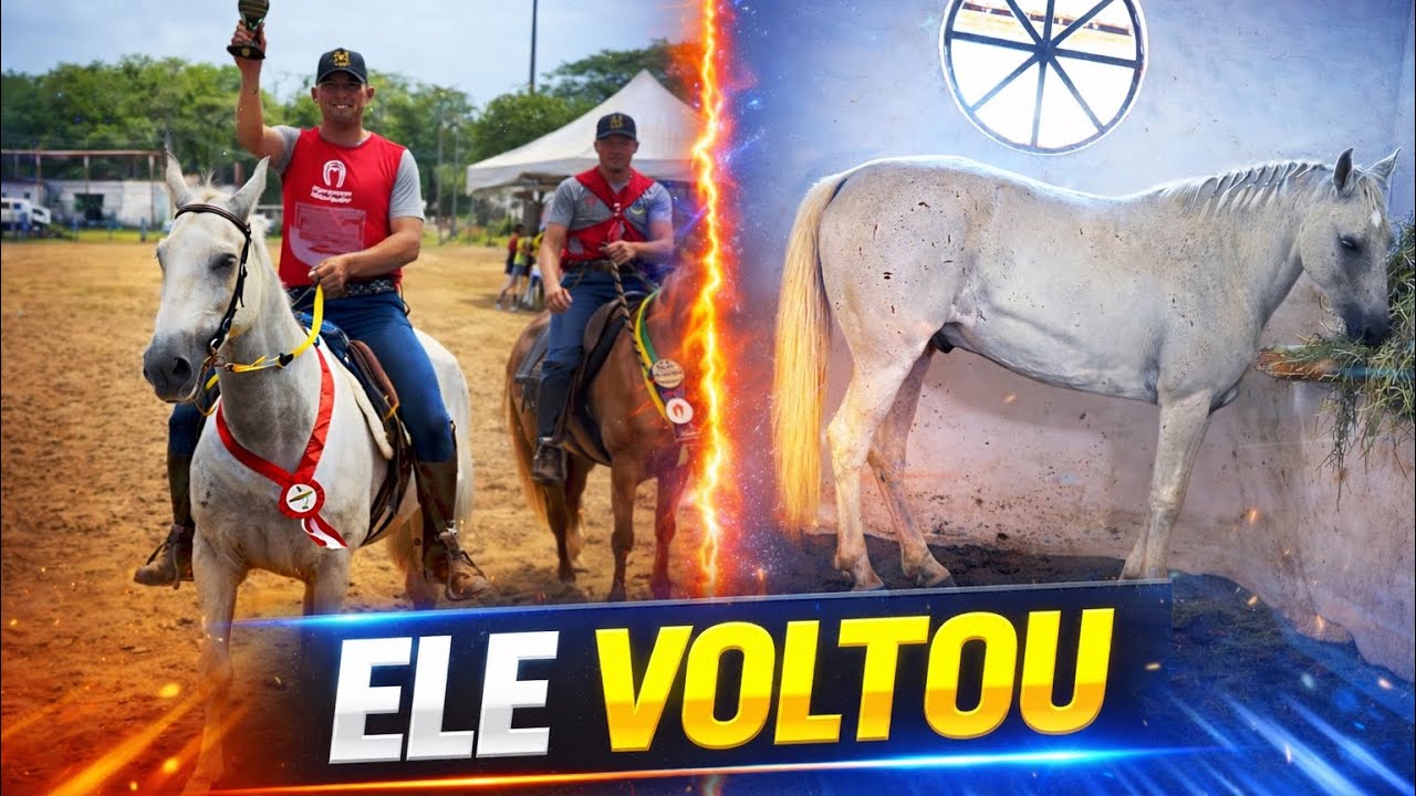 O CASTRADINHO VOLTOU PRO CANAL ? 