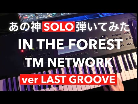 【🎹ラスグルのあの神ソロ弾いてみた】TM NETWORK - IN THE FOREST (1988) #tmnetwork #小室哲哉 #シンセサイザー #lastgroove #jd800