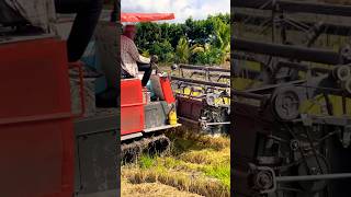 Máy Cắt Lúa Kubota DC 120X