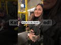 Katze fährt U-Bahn! 😂 #shorts
