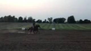 Trim Aca0Dd7B 7493 410C 9Eb1 A68606A23D73